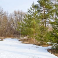 весна близко :: Настасья 