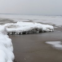 Берег Финского залива :: veera v