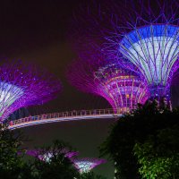 Световое шоу Supertree Grove, Сингапур. :: Edward J.Berelet