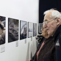 Что делать, если хочется спать, но лоб  чешется? :: Николай Ярёменко