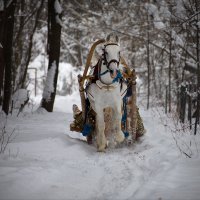 Эх, прокачу!.. :: Юрий Кольцов