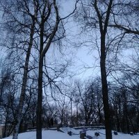 В зимнем парке. :: Светлана Калмыкова