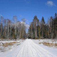 Просёлочная дорога :: Маргарита Батырева