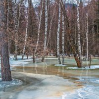 Приближение весны. :: Александр Поборчий