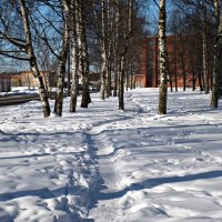 Последний день Зимы. :: Марина Харченкова