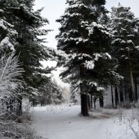 *** :: Олег Афанасьевич Сергеев