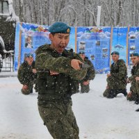 ВДВ :: Татьяна Панчешная