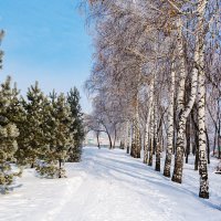 В парке :: Любовь Потеряхина