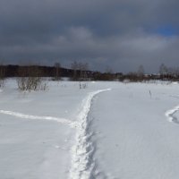 Тема с вариациями :: Андрей Лукьянов