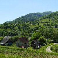 В   Закарпатье :: Андрей  Васильевич Коляскин