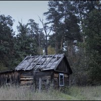 Сомово (Рамонский район) 3 :: Максим Минаков