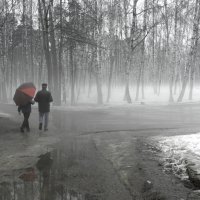 В тумане :: Ольга Беляева