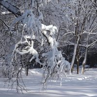После снегопада :: Ирина Via