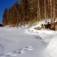 *** :: Анжела Пасечник