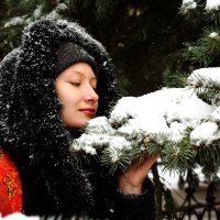Снежный день :: Ольга Бабичева