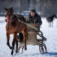 ... :: Cлава Украине 