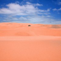 Пустыня Намиб.    Намибиа. :: Jakob Gardok