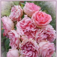 Розовый букет :: lady v.ekaterina