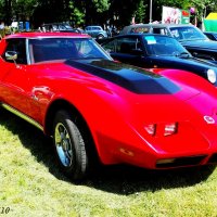 Chevrolet Corvette :: Нина Бутко