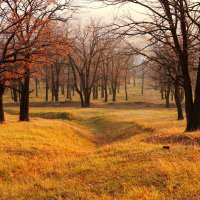 Золотая роща :: Алексей Баринов