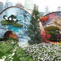 Гонконг "Парк Виктория" - цветочное шоу :: wea *