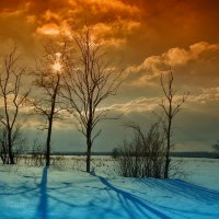 В зимний день на опушке леса :: Сергей Шаталов