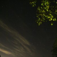 Звёзная ночь в лесу :: Анатолий Кувшинов