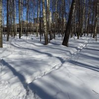 Мои полчасика перед работой :: Андрей Лукьянов