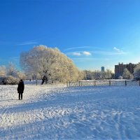 Зимний Парк на закате... :: Sergey Gordoff