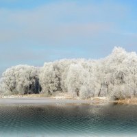 Зима :: Роман Савоцкий