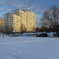 В вечерних красках :: Андрей Лукьянов