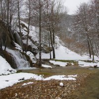 Стара планина . :: Вен Гъновски