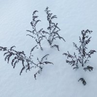 Танцы на снегу :: Raduzka (Надежда Веркина)