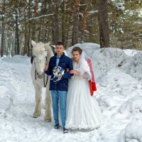 Прелесть зимних свадеб :: Дмитрий Конев
