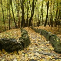 На тропе здоровья :: Светлана 