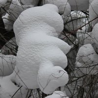 Снежный медвежонок :: Марина Мишутина