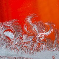 Рисует узоры мороз на оконном стекле.. :: Наталья Ильина