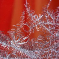 Рисует узоры мороз на оконном стекле... :: Наталья Ильина