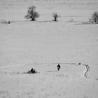 Встреча на снегу :: Сергей Шаврин