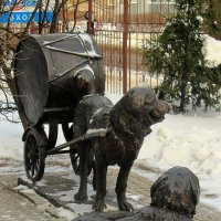 Барабанные собаки :: Сергей Карачин