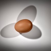 Egg :: Антон Летов