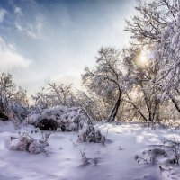 В царстве Берендея :: Natalia 