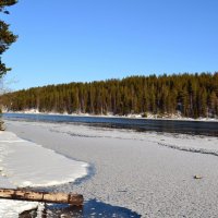 Весна в Заполярье :: Ольга 