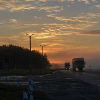 Трасса Новосибирск-Омск. Туманное утро :: Александр Янкин