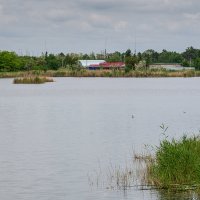 Озера в окрестностях города Кропоткин :: Игорь Сикорский
