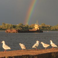 на Волге :: Сергей Морозов