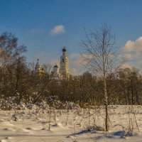 Во поле березонька :: Сергей Цветков