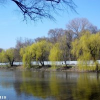 Весна :: Нина Бутко