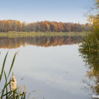 Озеро :: Сергей Морозов
