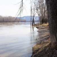 Береговая линия :: Валерий Михмель 